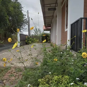 Guest house Windy Hanthana 